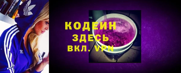 крисы Бородино