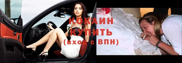 крисы Бородино