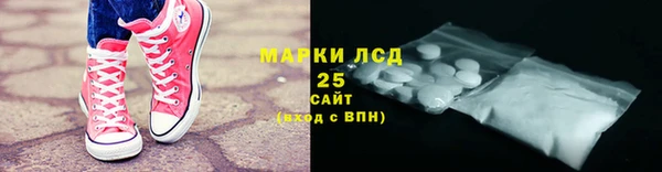 крисы Бородино
