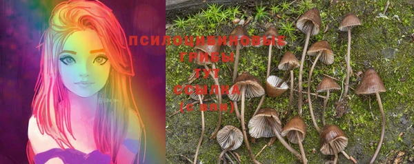 прущий лед Бугульма