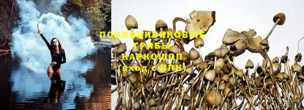 прущая мука Бронницы