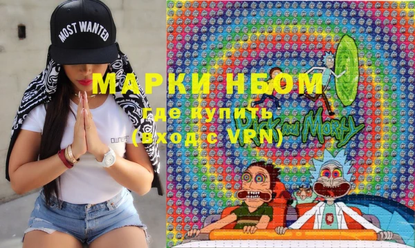 крисы Бородино