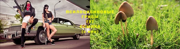 прущий лед Бугульма
