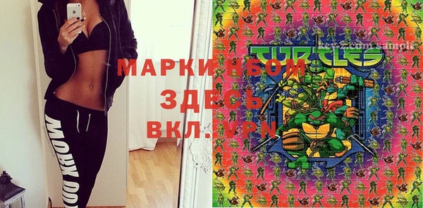 молекула духа Сосновый Бор