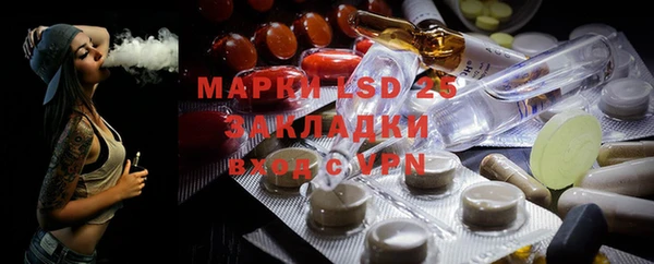 крисы Бородино