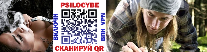 сколько стоит  Новохопёрск  Псилоцибиновые грибы Psilocybine cubensis 